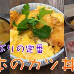 【どんぶりの定番】サクッとジューシー！とんかつから作る絶品カツ丼｜クラシル #Shorts