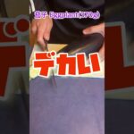 男飯‼︎マスタード入り野菜炒め‼️Stir fry