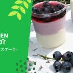 礎kitchenレシピ紹介【クリームチーズケーキ】