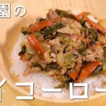 保育園の給食レシピ「ホイコーロー丼」の作り方【あおいの給食室～子どもと食べる魔法の献立レシピ＆ミールキット】#主婦 #暮らし #アレルギー #レシピ #夫婦 #管理栄養士 #フリーランス