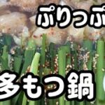 博多もつ鍋作り方　もつがぷりっぷりっ　締めのチャンポン麺も