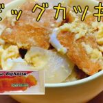 【駄菓子アレンジ】ビッグカツのアレンジレシピを考案してみた【料理動画】