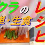 【野菜の生食レシピ】オクラ 簡単&飽きを防ぐバリエーションを紹介