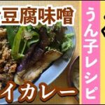 【爆うん子レシピ】メインに迷ったらこれ！腸活豆腐味噌ドライカレー