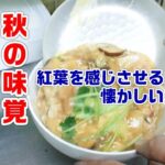 紅葉を感じさせるどこか懐かしい【木の葉丼】を作ってみました。
