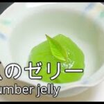 キュウリのゼリー/ボイス有/作り方/レシピ/スイーツ/夏の一品/簡単料理/小春六花/