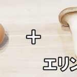 【お弁当おかず】たまご１つで作るエリンギ黄金焼きの作り方　冷蔵庫にあるもので簡単おいしい節約料理/旦那弁当/毎日弁当/ダイエット弁当
