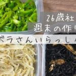 【vlog】ズボラOL(26歳)による週末の作り置きレシピ 副菜これで決まり。〜丁寧な暮らしを夢見て〜【常備菜/時短/健康/社畜歓迎】