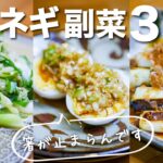 【長ネギレシピ/副菜レシピ】白ネギ?長ネギ?なんて呼べばいいの??簡単付け合わせ3品