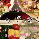 #44【1日ごはん】お弁当＆晩ごはんの記録 | 6時に起きて作ったバタバタごはん | レンジで簡単！蒸し鶏ごはん【アラサー新米主婦の自炊奮闘記録】