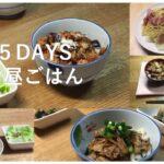 【昼食レシピ】お昼ごはんレシピ☆平日5日間☆簡単にできます。