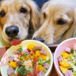 超簡単!手作り犬ごはん【咀嚼音/ASMR/作り方】薬膳 ブッチと野菜の豆腐サラダ