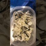 乾燥野菜（オクラ、玉ねぎ、エリンギ）完成 #shorts #野菜レシピ