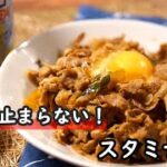 【簡単レシピ】白米が止まらない！豚肉も柔らかい！！にんにくたっぷりのスタミナ丼の作り方