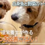 食いつき改善！超簡単♪余った野菜を使ってレンジで簡単にできる健康トッピングご飯【犬】