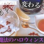 簡単かぼちゃプリン【レシピ公開】不思議で可愛いハロウィンスイーツ🎃あなたもきっと真似してみたくなる！