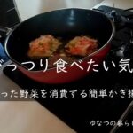 がっつり食べたい気分 – 余った野菜を消費する簡単かき揚げ –