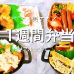 【弁当作り】リアルな主婦の一週間のお弁当作り／はんぺんボール／チキンカツ／厚揚げレシピ