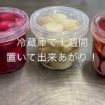 レストラン野菜農家のラディッシュレシピ