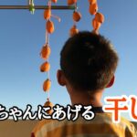 [干し柿作り方]超簡単な子どもと作れるスイーツ#干し柿