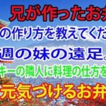 【感動する話】兄が作るお弁当。「弁当の作り方を教えてください、来週妹の遠足なんです」私は隣人のヤンキーに料理を教えた。その弁当がきっかけとなり後に兄弟は