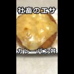 人生に疲れた社畜のエサ～カレーパン丼～