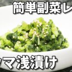 副菜の簡単レシピ！大根の間引き菜（葉）の浅漬けの作り方