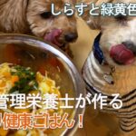 【レシピ動画】愛犬のための健康手作りご飯「しらすと緑黄色野菜煮」。誰でも簡単に作れる料理。栄養素の解説付き♪【犬】