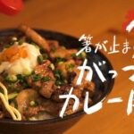【10分晩ごはん】箸が止まらない がっつりカレー豚丼の作り方｜＃リアル10分クッキング