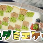 【ダミエケーキ】3色のダミエショートケーキの作り方【きゅうりめし】