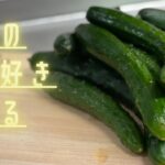 【ええ声クッキング】超簡単レシピ”きゅうりで副菜3品”