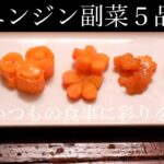 【ニンジン付け合わせ5品】お弁当の隙間埋めや、もう一品何か欲しい時にニンジンメインの副菜はいかがでしょうか。お料理がグッと引き立ちます。