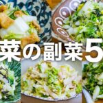 【白菜レシピ】速攻作れる！簡単！副菜・付け合わせにピッタリな5品♪