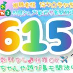 【あつ森】カブ価615他、ウリ90ベル、新ﾚｼﾋﾟ、野菜ﾌﾙｰﾂ取り放題、流星群ﾌｰｺ、ﾏｲﾙ貯めなど☆手数料なし往復OKで開放中【視聴者参加型】【LIVE】【あつまれどうぶつの森】