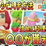 【あつ森】絶対注意して！野菜の種やレシピの入手方法◆解説【あつ森アプデ】【DIY】【レイジ】【パニーの島】【野菜・育て方】【解説・攻略】【女性ゲーム実況者】