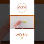 【JOTOヘルシーレシピ】豚肉ときのこの丼ぶり