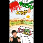 余った野菜で最高に美味しいホットサンドが出来る!? レシピNo.10 #shorts