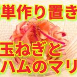 ★レシピ動画★お弁当やおつまみにも🥂簡単作り置き♪紫玉ねぎと生ハムのマリネ★【hirokoh(ひろこぉ)のおだいどこ】