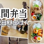 【お弁当】リアル一週間弁当と祝日昼ご飯／食事中の猫の至近距離監視【簡単レシピ】