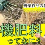 野菜作りを始めましょう！有機肥料って何？