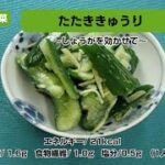【レシピ副菜】たたききゅうり〜しょうがを効かせて〜