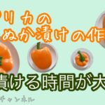 パプリカのぬか漬けの作り方・漬け過ぎ注意のおしゃれな野菜！