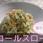 【洋食・副菜】コールスロー