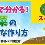 野菜の上手な作り方【スイカ】