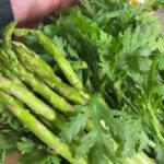 ガリの作り方と美味しい野菜炒め！