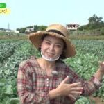 楽しく学んで、おいしく食べよう！野菜たっぷりクッキング