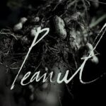 生産者と食卓が繋がる野菜の物語【落花生】vol.4　※レシピあり