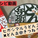 失敗レシピ動画「ヒガシマルうどんスープ✖どん兵衛きつねうどん？：インスタントラーメン図鑑33号
