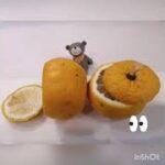 柚子ゼリー＆柚子寒天のレシピが出来ました😊クックパッドで料理名検索のところに6973958と入れて下さい。「@UCkcmg 8yBpjk5l1fwuOsabjg」#料理動画 #料理  #スイーツ 　