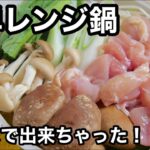この作り方ぜひ見て欲しい！野菜も摂れて雑炊まで出来てしまうレンジ鍋｜忙しくても手軽に免疫力アップ｜ダイエットにも受験生の夜食にも｜おまけVLOGあり